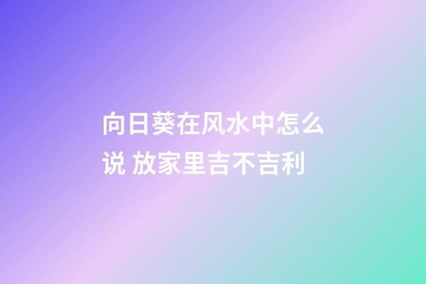 向日葵在风水中怎么说 放家里吉不吉利
